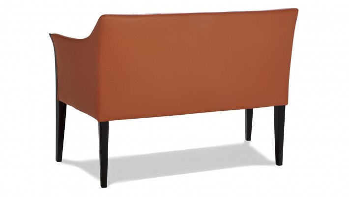 Moderní kožená dvousedačka