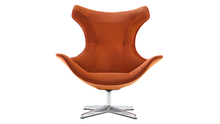 Leder Sessel modern aus echtem Holz in verschiedenen Farben