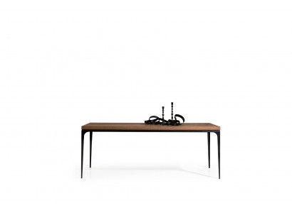 Jídelní stůl Stůl jídla Stoly Nábytek Dřevo 200x92cm Jídelní stoly