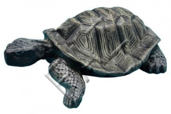 Navrhnout sochu želvy sochaře sochy sochařství sochy sochy dekorace zvíře nové
