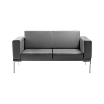 Šedý kancelářský styl 2-místná designová polstrovaná sedačka umělá kůže Sedací souprava 2-členná.