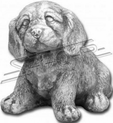 Zahrada Dekorace Pes Terasa Kámen Socha Sochy Dekorativní Bílý Socha