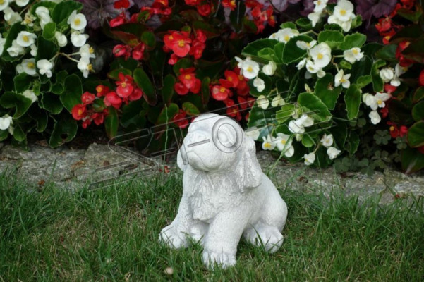 Zahrada Bílá Dekorace Pes Terasa Kámen Socha Figurky Dekorativní Socha