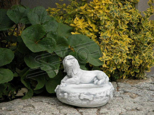 Miska Misce Psi Kočky Miska krmiva Nápoje Kámen Design Hund