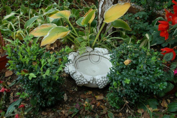 Ptáčí krmítko socha design socha zahrada sochy sochy miska