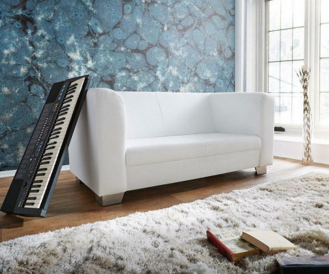 Pohovka Pohovka Design Potah Moderní Kožené Pohovky 2 Místná Dvoumístná Designer Nová