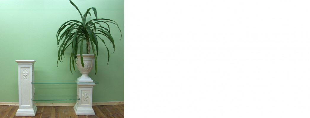 Design Vitrína Regál Skleník Skříň Vitríny Regály Skříň Obývací pokoj 1801