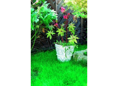 Květináč Zasazování Květin Dekorace Příroda Figura Květináče Vázy Zahrada