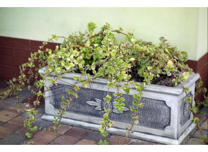 Květinový květináč Dekorace přírodní figuríny Vázy Zahrada Květináče