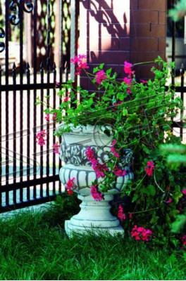 Květinový květináč nádoba příroda dekorace postava vázy květináče zahrada