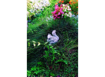 Zahradní dekorace socha veverky socha figuríny design soch