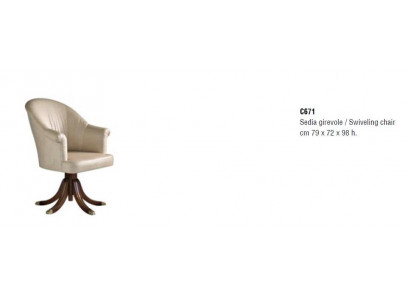 Luxus Design Nábytek židle Klasický Design Křesla Textilní Obývací Pokoj Lounge Nový