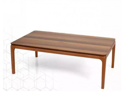 Konferenční stolek Moderní obývací pokoj Nábytek Stylový stůl Dřevo Luxusní design