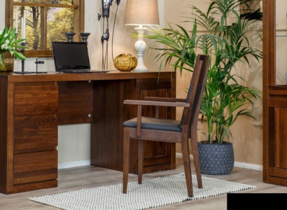 Stůl Psací stůl Dřevěný stůl Počítačový stůl Masivní dřevo Kancelářský stůl Kancelářský nábytek Stoly