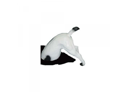 Šílená zahradní socha socha psa s pozadím 25 cm sochy sochy