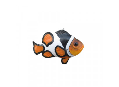 Amphiprion stoján Zoo Akvárium socha Ryba Socha Socha Sochy 120 cm.