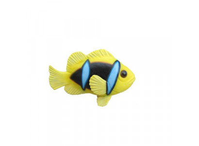 Anemonen Ryba Oceán Exotické Ryby Stojan Akvárium Zoo Socha Sochy