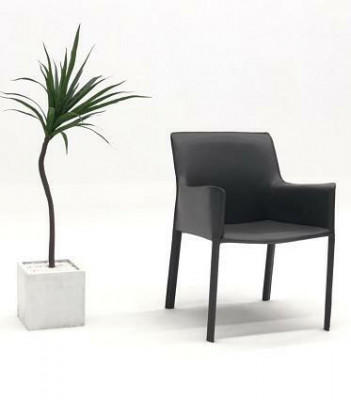 Design Lehn Stühle Polster Ess Zimmer Club Küche Lounge Wohn Möbel Stuhl Sessel  Designové židle s opěrkou, čalouněné, jídelní místnosti, klubové, kuchyňské, salónové bytové nábytek, židle, křesla.