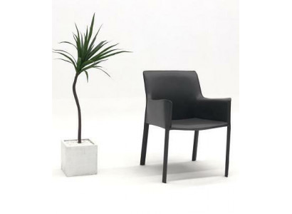 Design Lehn Stühle Polster Ess Zimmer Club Küche Lounge Wohn Möbel Stuhl Sessel  Designové židle s opěrkou, čalouněné, jídelní místnosti, klubové, kuchyňské, salónové bytové nábytek, židle, křesla.