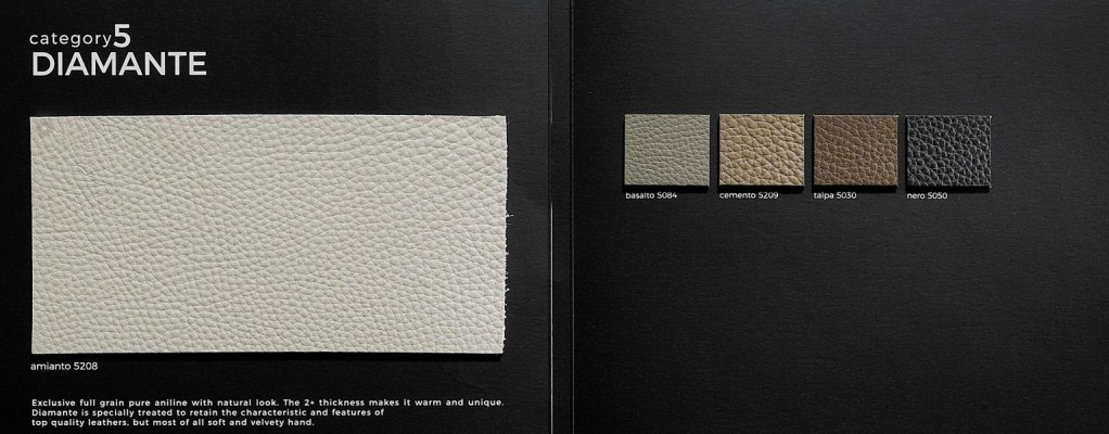 Moderní pohovka 2 místná luxusní kožená pohovka se dvěma sedadly designová pohovka do obývacího pokoje Prianera.