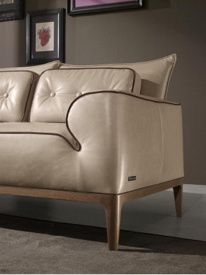 Luxusní souprava sedací soupravy 2+1 sedadlo sofa křeslo kůže 2 kusy PRIANERA.