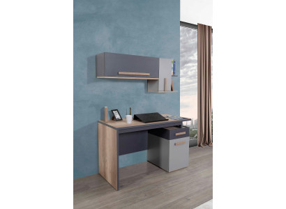 Psací stůl Moderní stůl Nástěnná police Dřevo Děti dospívající pokoj Návrh nábytku