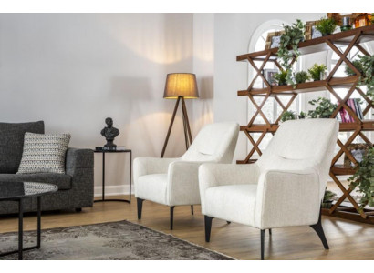 Křeslo Moderní jednosed Design Nové Křeslo Vybavení Obývací pokoj Pohovka 1 Místný