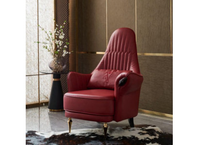 Křeslo design pohovka sofa relaxační prostor kůže luxusní TV klub polstrování