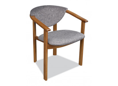 Židle Polstera Židle Designer Židle Jídelna Křeslo Luxusní Nábytek Nový
