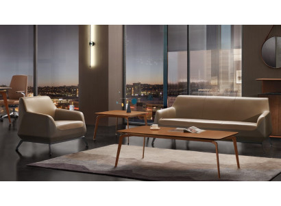 Židle Lounge Luxus Televizní Klub Polstrování Design Sedačka Pohovka Sofa