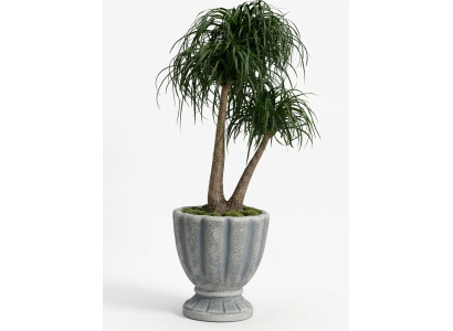 Design Blumentopf Deko Top Planz Kübel Gefäß Töpfe Figur Gesicht Skulptur