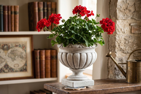 Design Blumentopf Top Planz Dekorative Kübel Gefäß Töpfe Figur Gesicht