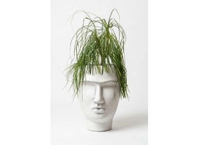 Design Blumentopf Top Planz Kübel Gefäß Deko Figur Töpfe Gesicht Skulptur