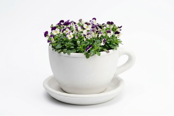 Blumenkübel Pflanz Kübel Natur Dekoration Vasen Figur Garten Blumentöpfe
