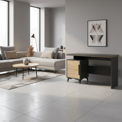 Psací stůl Počítačový stůl Moderní design Kolekce Obývací pokoj Počítačové stoly