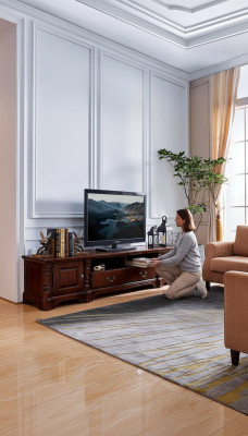 Lowboard Schrank rtv Wohnzimmer tv Holz Möbel Schrank Klassisch