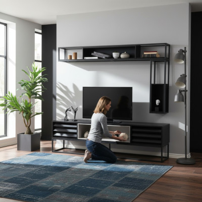 Wohnwand RTV Lowboard Regale TV Ständer Set Holz Modern Schwarz Design