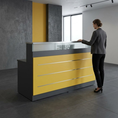 Kancelářské zařízení recepce pracovní pokoj moderní designérský úřad nový