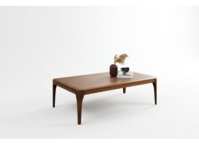 Couchtisch Kaffeetisch Sofatisch Wohnzimmer Beistelltisch Holz Braun