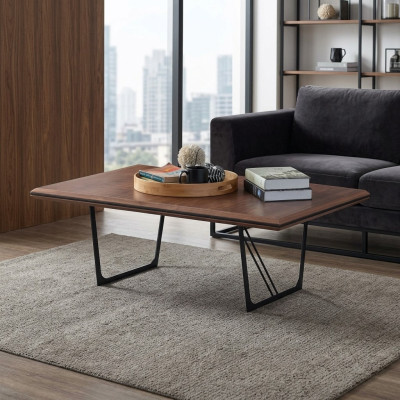 Konferenční stolek Kávový stůl  Couchtisch Kaffeetisch Sofatisch Beistelltisch Holz Braun Holztisch
