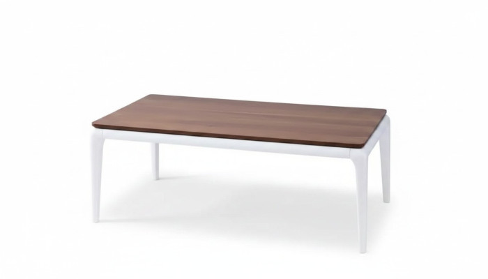 Couchtisch Luxus braun Wohnzimmer Möbel Tisch Holz Luxus Design neu