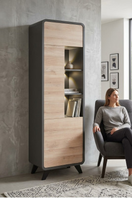 Vitrine Wohnzimmer Möbel Holzmöbel Luxus Modern Schrank Designer Einrichtung