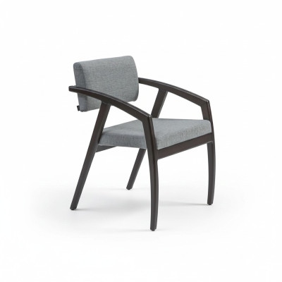 Židle s loketní opěrkou potahovanými sedákem jídelní místnost dřevo design luxusní styl nový.