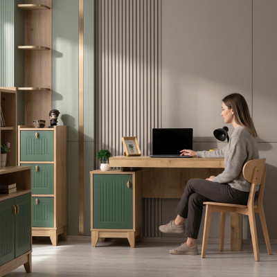 Schreibtisch Modern Schreibtisch Holz Jugend Kinderzimmer Design Möbel