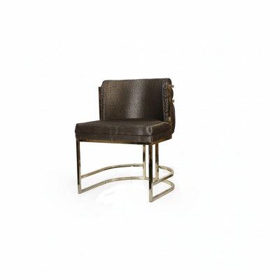 Luxus Stuhl Braun Farbe Modern Möbel mit Metallrahmen für Esszimmer