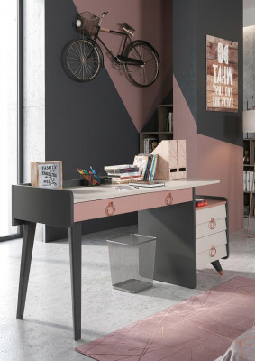 Sekretariátní psací stůl Design Luxusní psací nábytek Dřevěné psací stoly