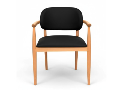 Černé křeslo designu jídelní židle Luxus jednosedadlo nábytek z dubu.