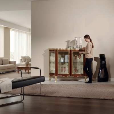 Holz Vitrinen Glas Schrank Echtholz Vitrine Wohnzimmer Möbel Anrichte