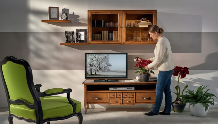 Gruppe Wohnwand RTV Lowboard TV Ständer Modern Braun Wohnzimmer Set