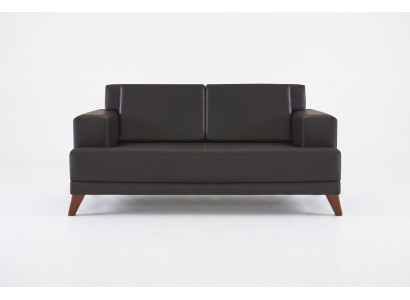 Pohovka z kůže, dvoumístná, černá, jednobarevná, moderní design, kožená pohovka, dřevo.